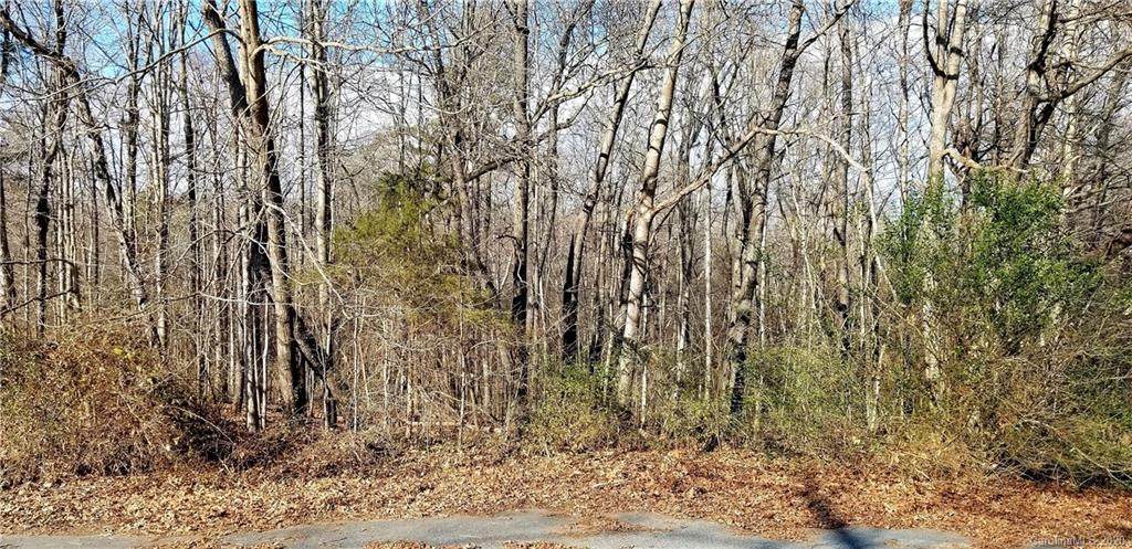 0 Tanglewood Drive - Photo 1