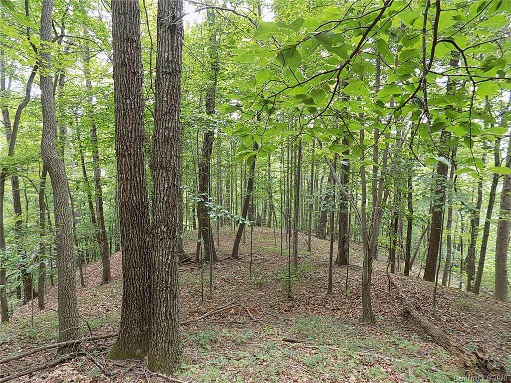 0 Miller Mountain Road - Photo 1