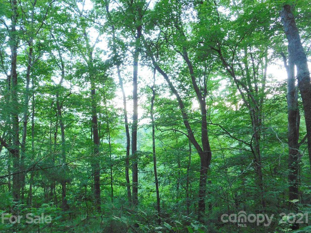 00 Edna Trace - Photo 1