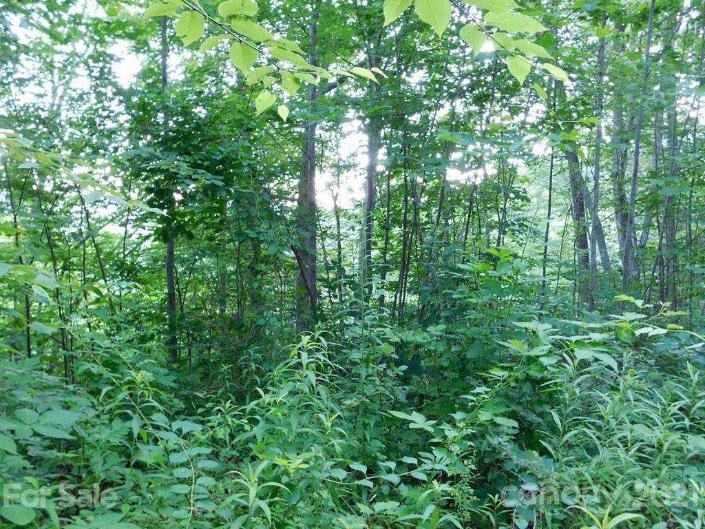 00 Edna Trace - Photo 1