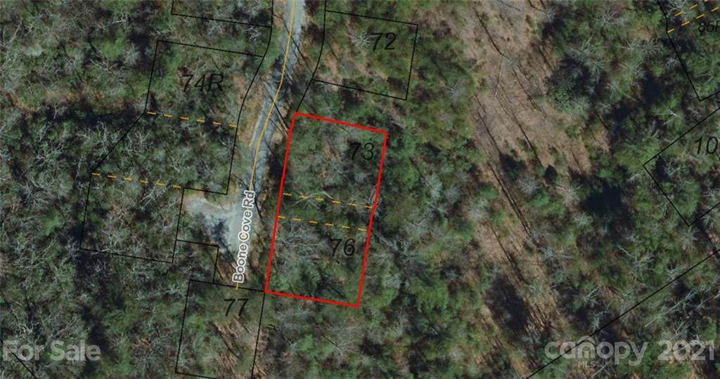 000 Boone Cove Road - Photo 1