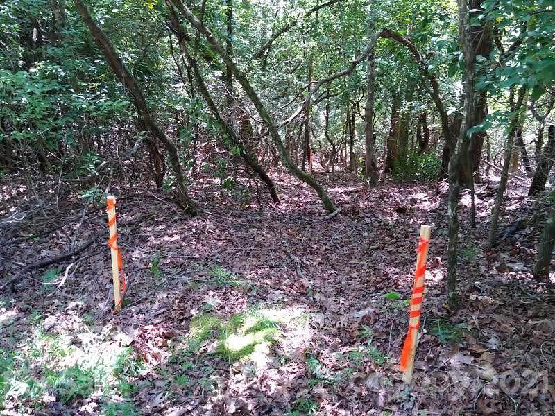 000 Campbell Drive - Photo 1