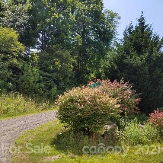 TBD Hawk Ridge Road - Photo 1