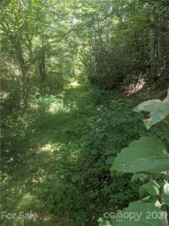 TBD Lower White Oak Road - Photo 1
