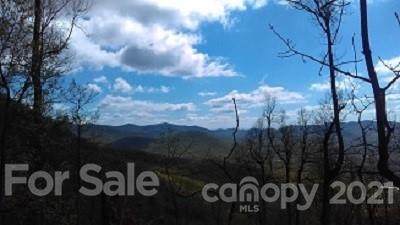 97 Sassafras Valley Road - Photo 1