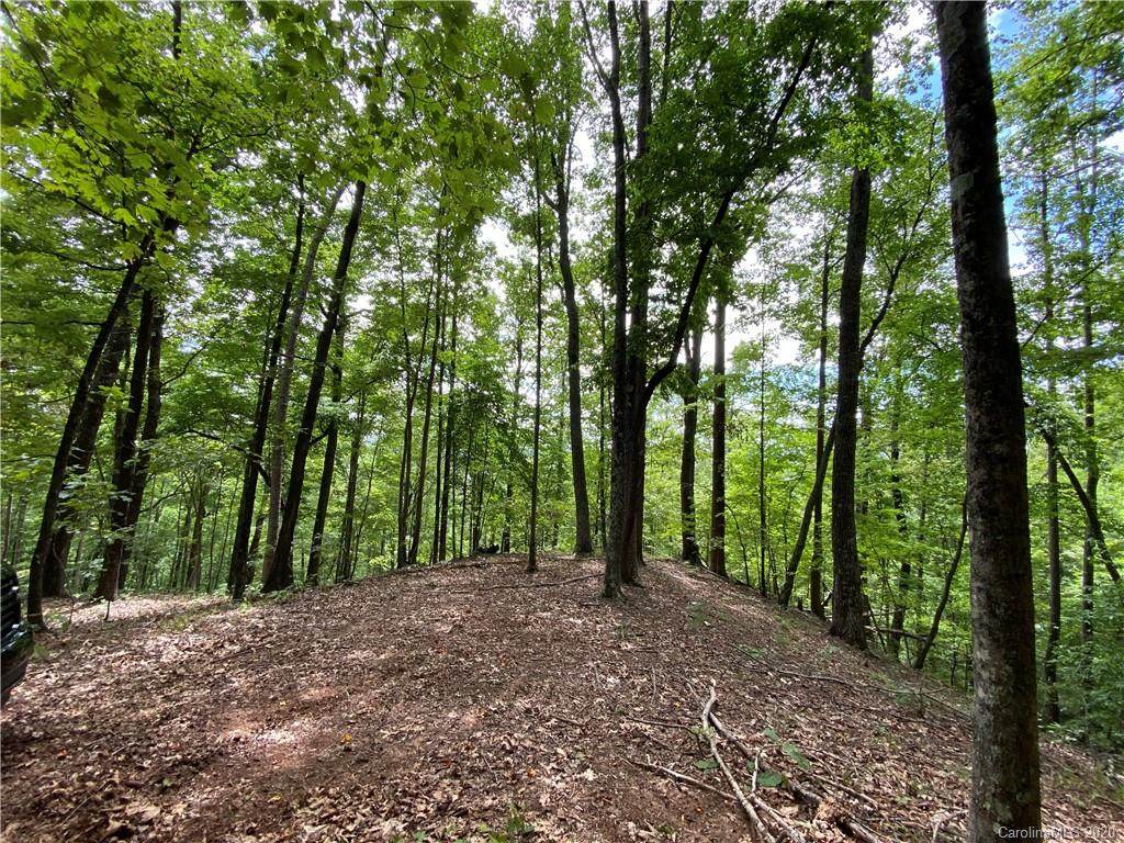 00000 Deer Path - Photo 1