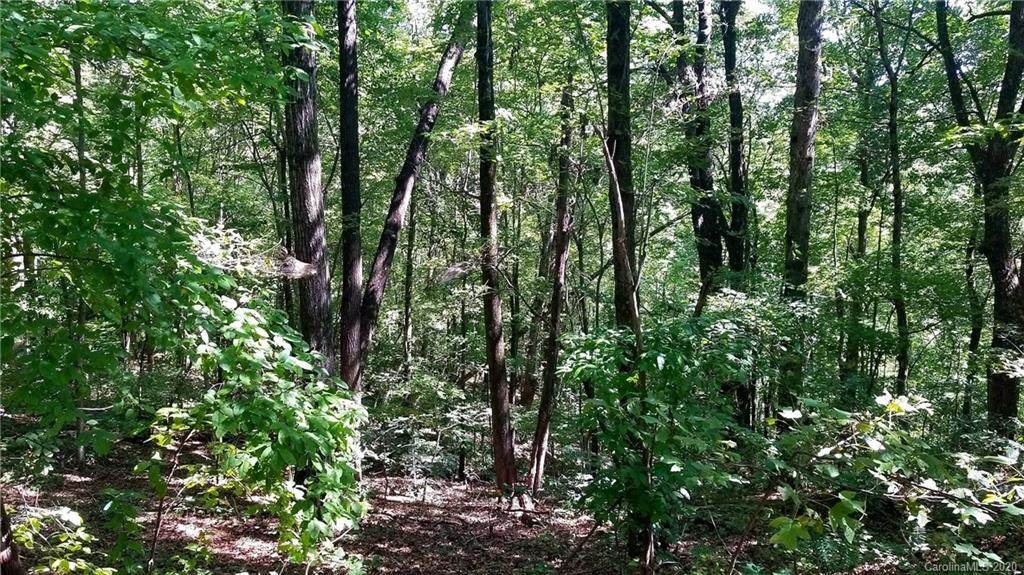 0 Mountain Crest Drive - Photo 1