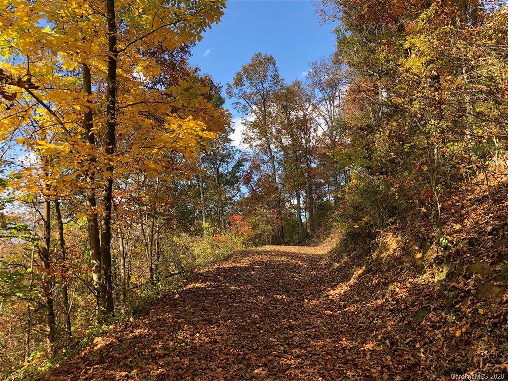 Lot 1 Johnson Farm Road - Photo 1