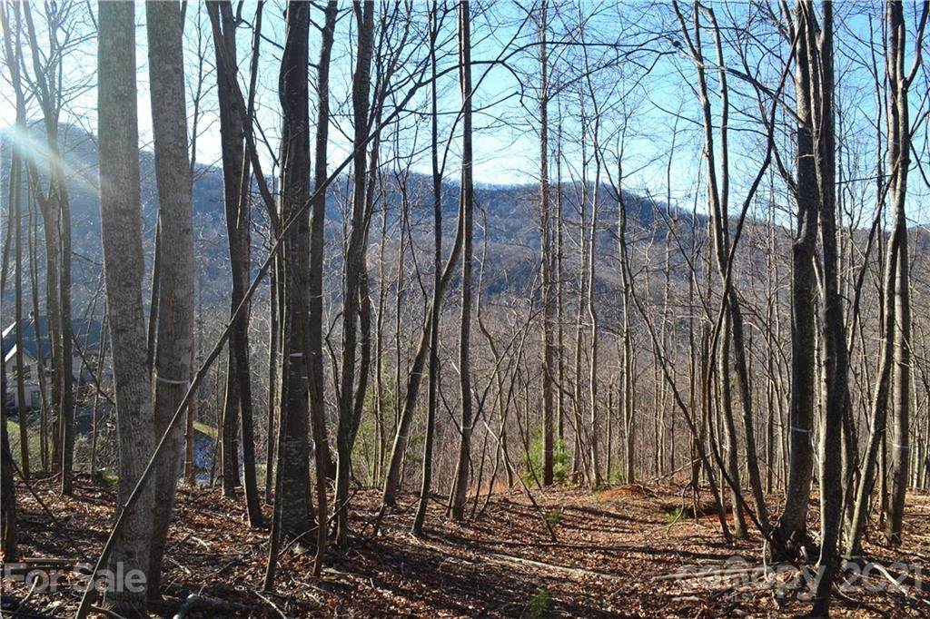 1305 Double Knob Drive - Photo 1