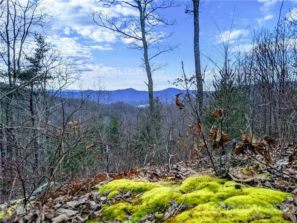 342 High Hickory Trail Trail - Photo 1