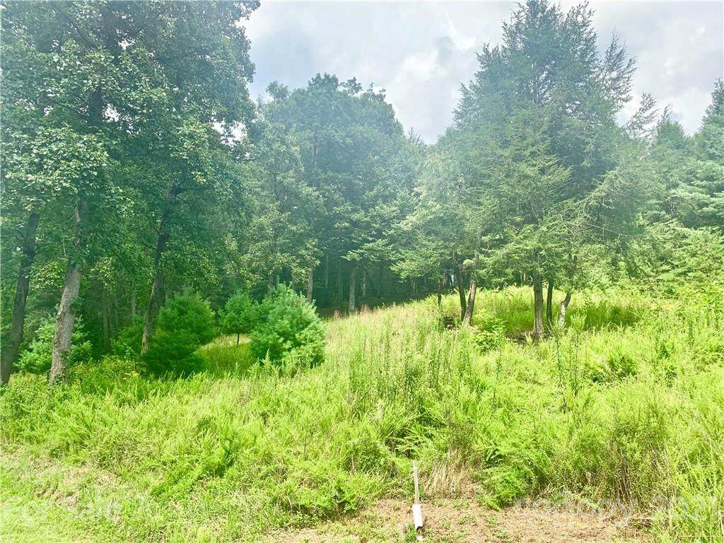 1186 Red Cedar Way - Photo 1