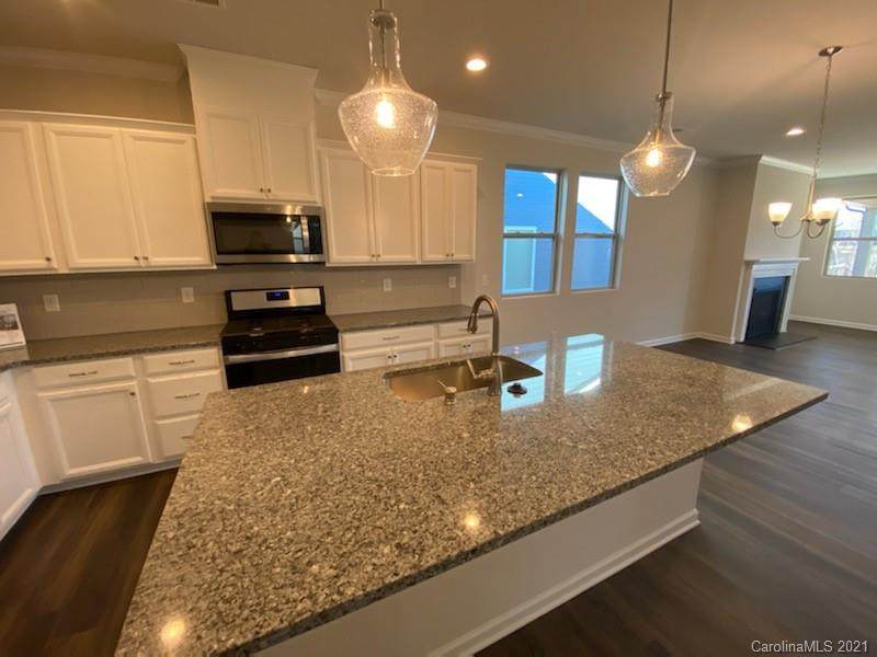 17417 Carolina Hickory Drive - Photo 1