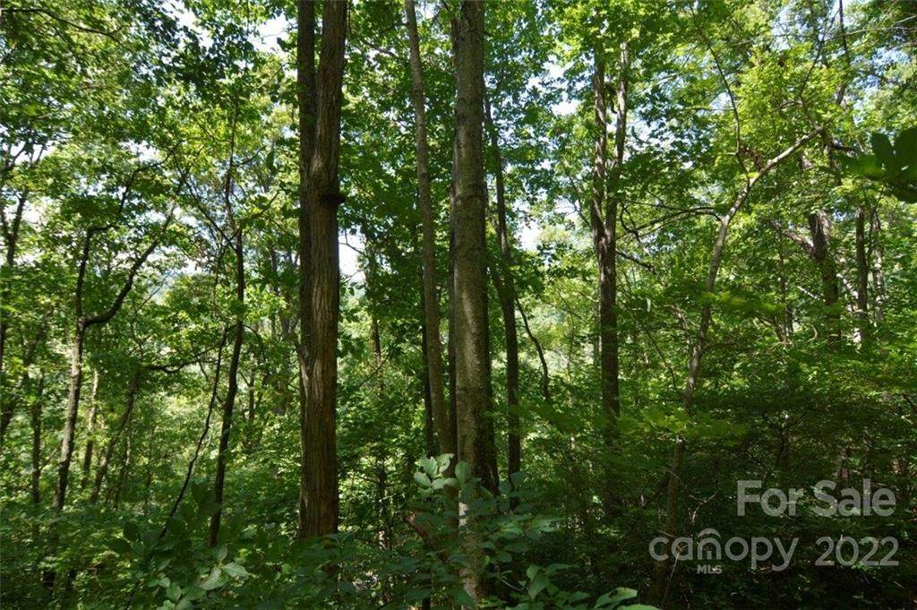00 Valley View Drive - Photo 1