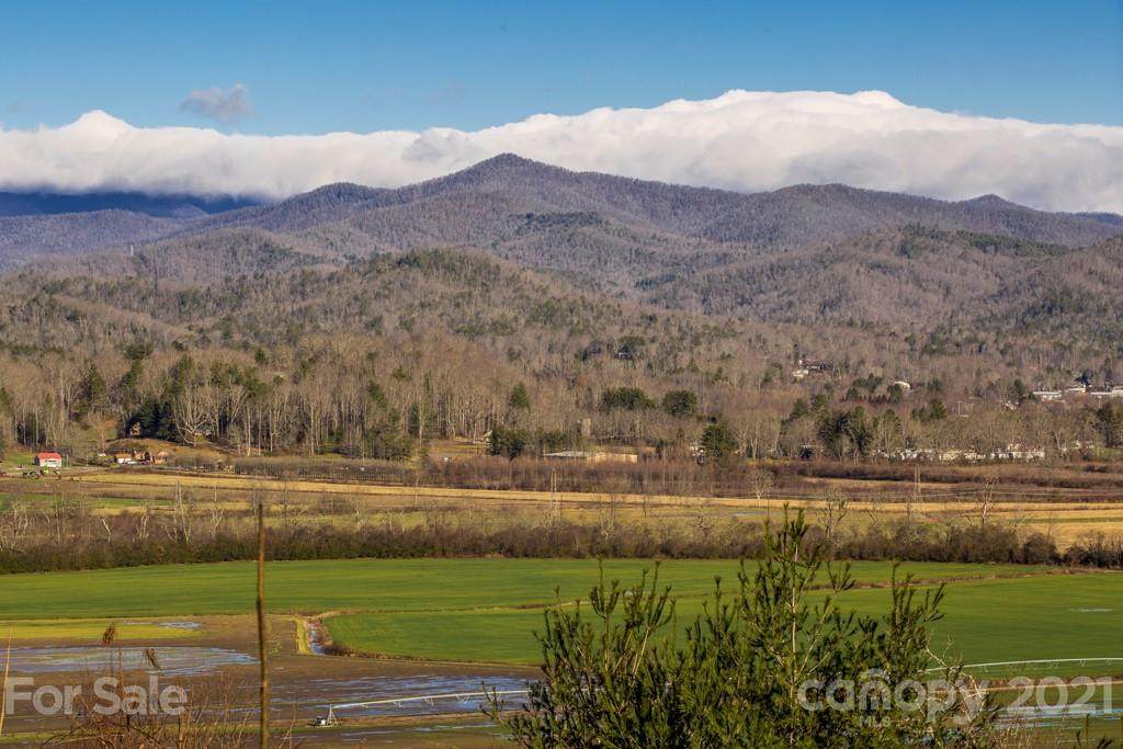 31 Middlemount Road - Photo 1
