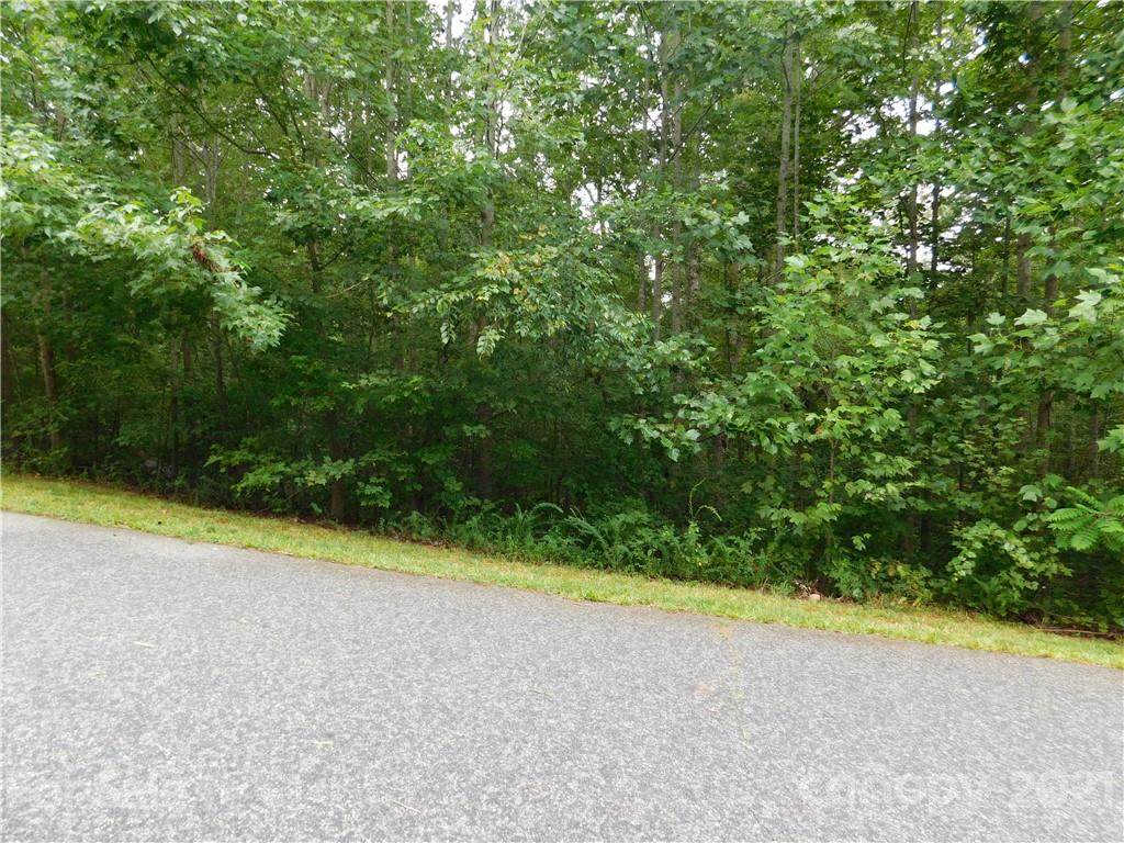 0000 Maple Spring Court - Photo 1