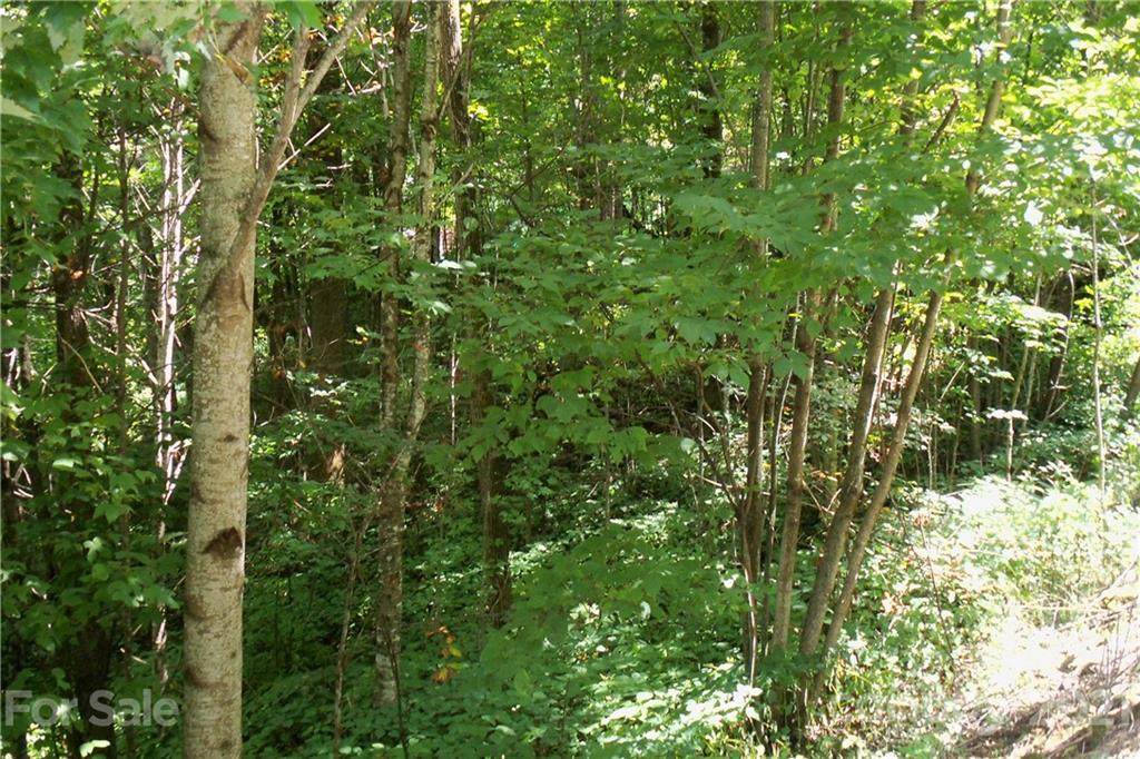 Lot 204 Slippery Rock Road - Photo 1