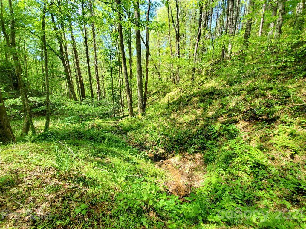 00 Bryant Branch Road - Photo 1