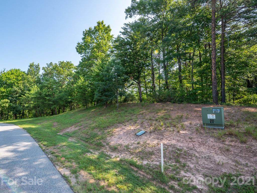 LOT 48 Deep Gap Farm Road - Photo 1