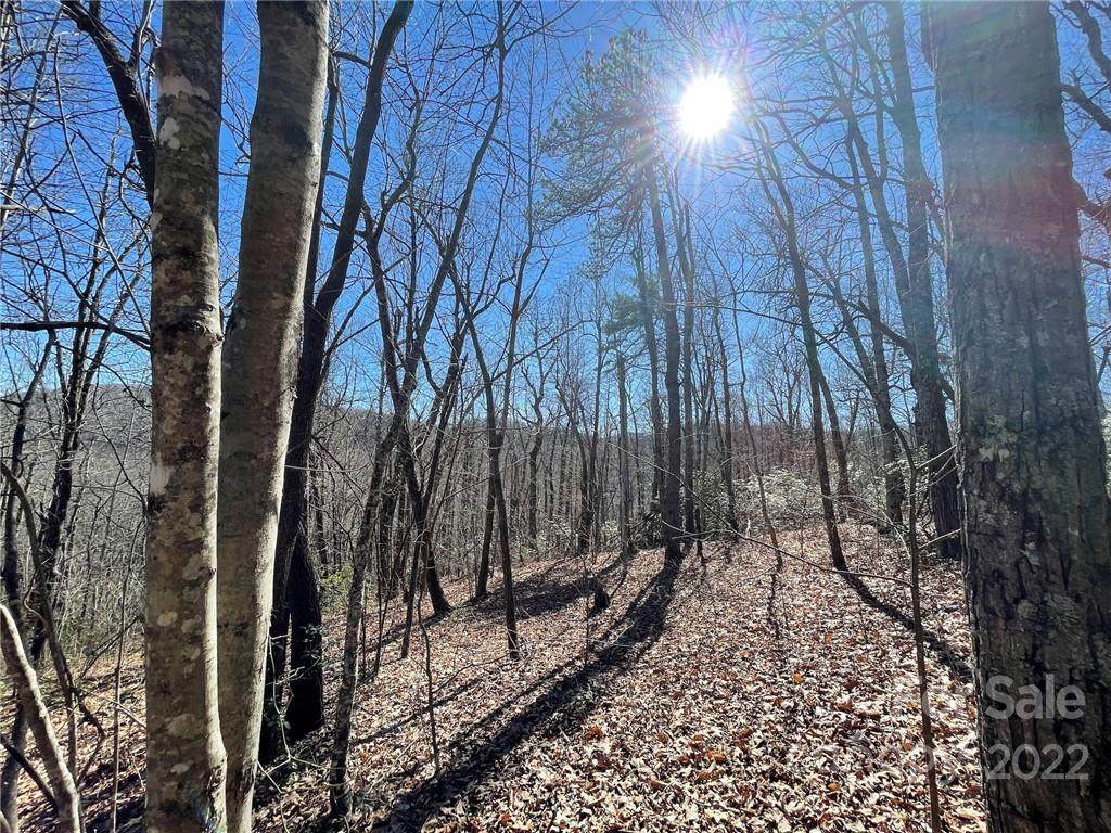 37 +/- Acres Sand Branch Road - Photo 1