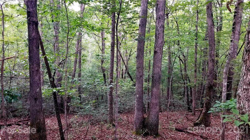 4.81 acre lot on Smoothstem Court - Photo 1