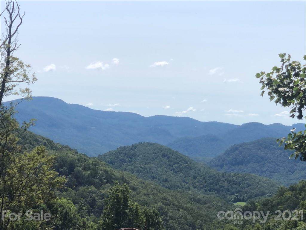 99999 Pinebluff Road - Photo 1