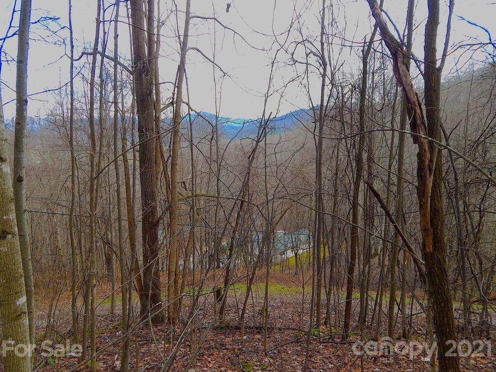 Lot 505 Kitty Lane - Photo 1