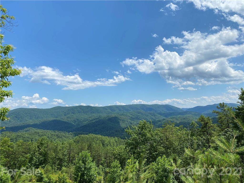 Lot 1320 Round Leaf Lane - Photo 1