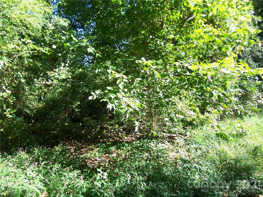 113 & 115 Muirfield Drive - Photo 1