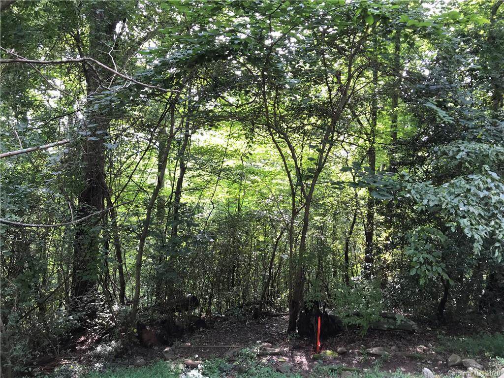 000001 Jazaka Ridge Lane - Photo 1