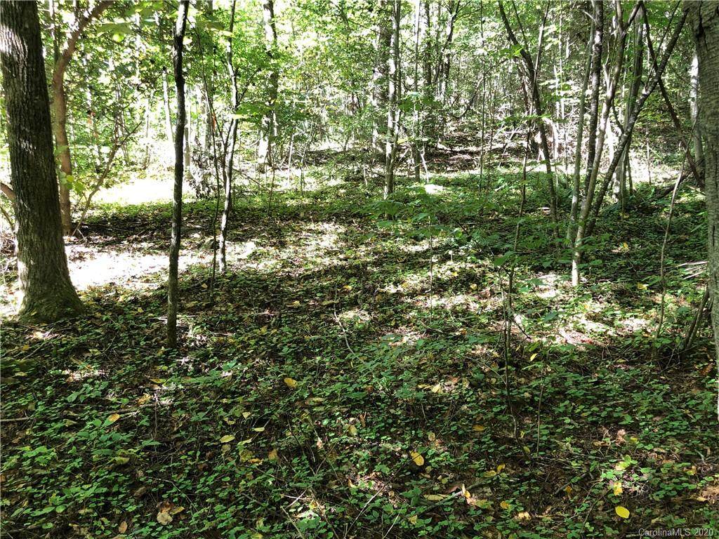 1.60 AC OF LOT 79 Haven Drive - Photo 1