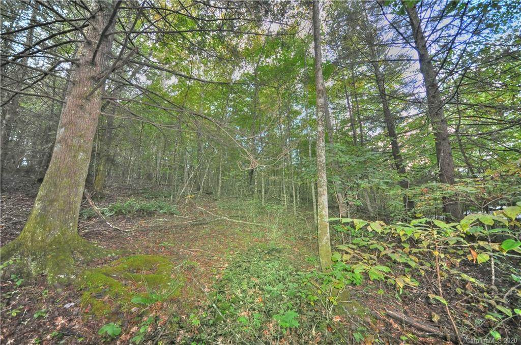 426 Ashley Bend Trail - Photo 1