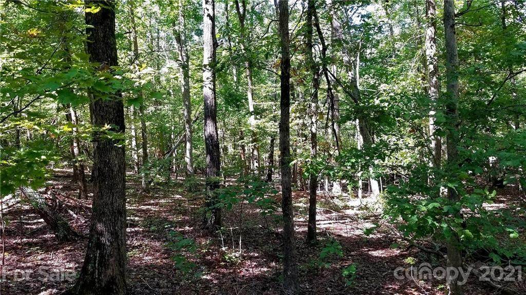0 Adirondack Trail - Photo 1