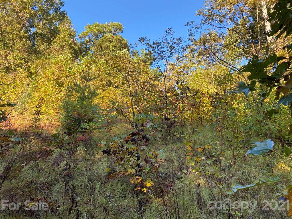200 Hawks Crest Drive - Photo 1
