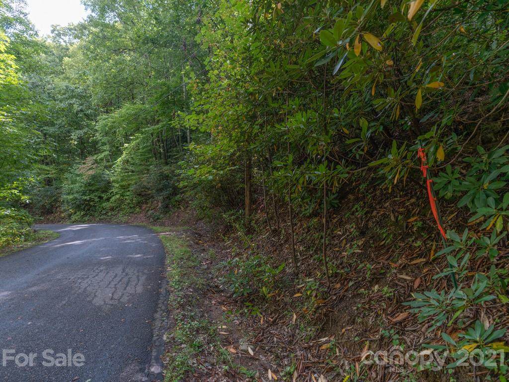 00 Frazier Magnolia Trail - Photo 1