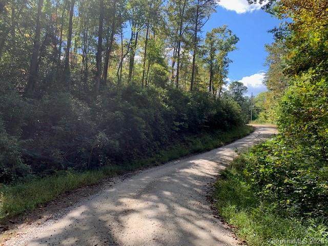 0 Wolf Trail - Photo 1