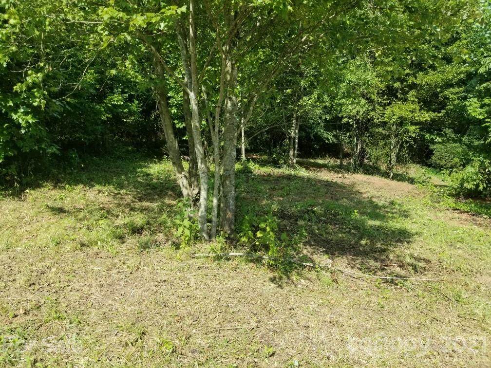 00 Stable Brook Lane - Photo 1