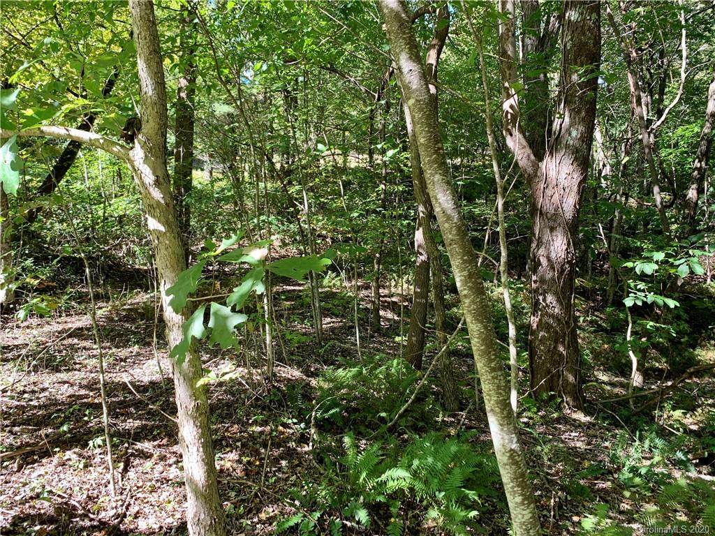 Lot 15 Eastatoe Gap Road - Photo 1