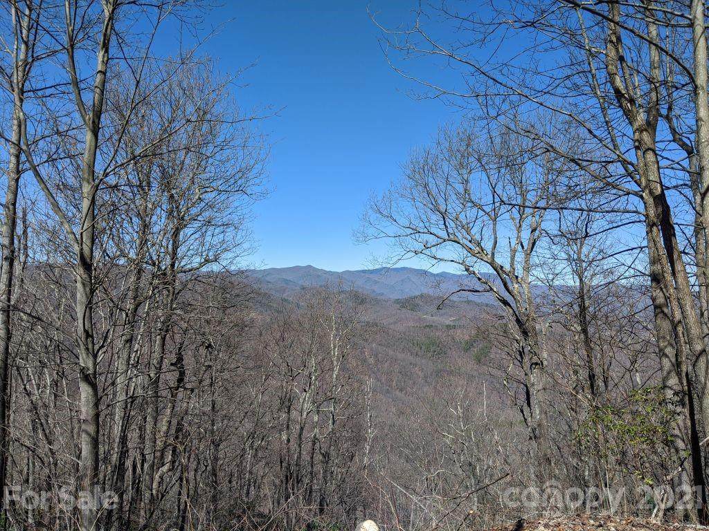 Lot T-66 23 Ninebark Lane - Photo 1