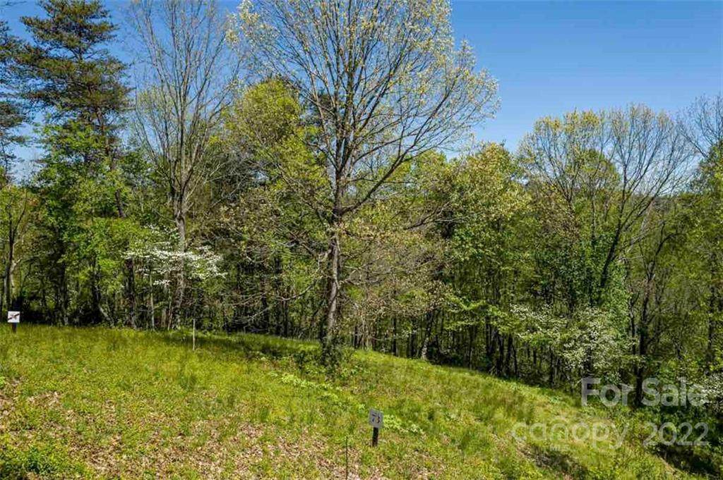 405 Blue Mind Way - Photo 1