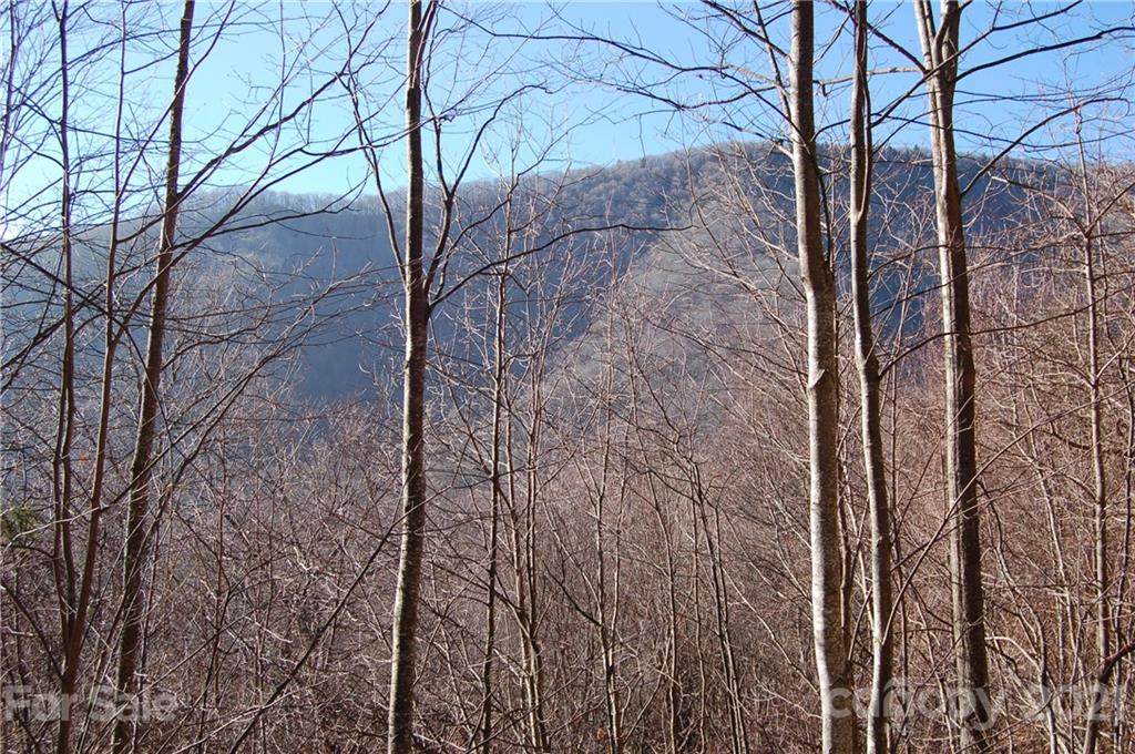 298 Winding Creek Drive - Photo 1