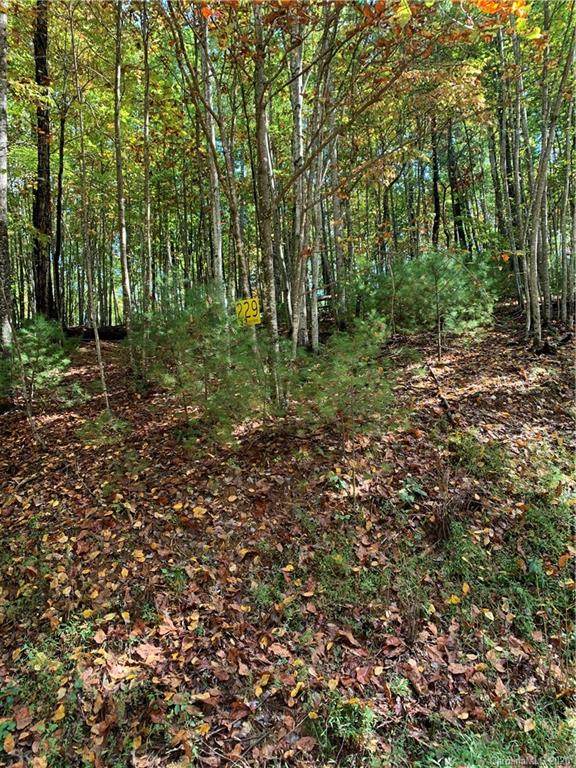 Lot 229 Deer Run - Photo 1