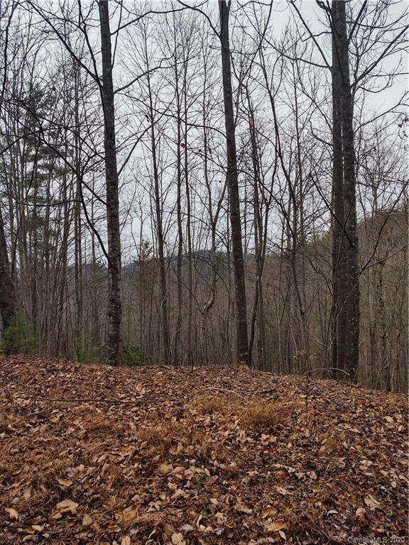 Lot 102 Staghorn Road - Photo 1