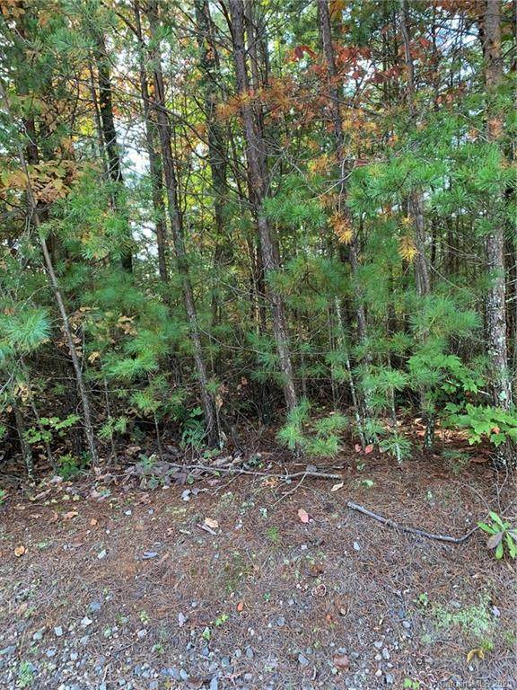 Lot 79 Deer Antler Drive - Photo 1