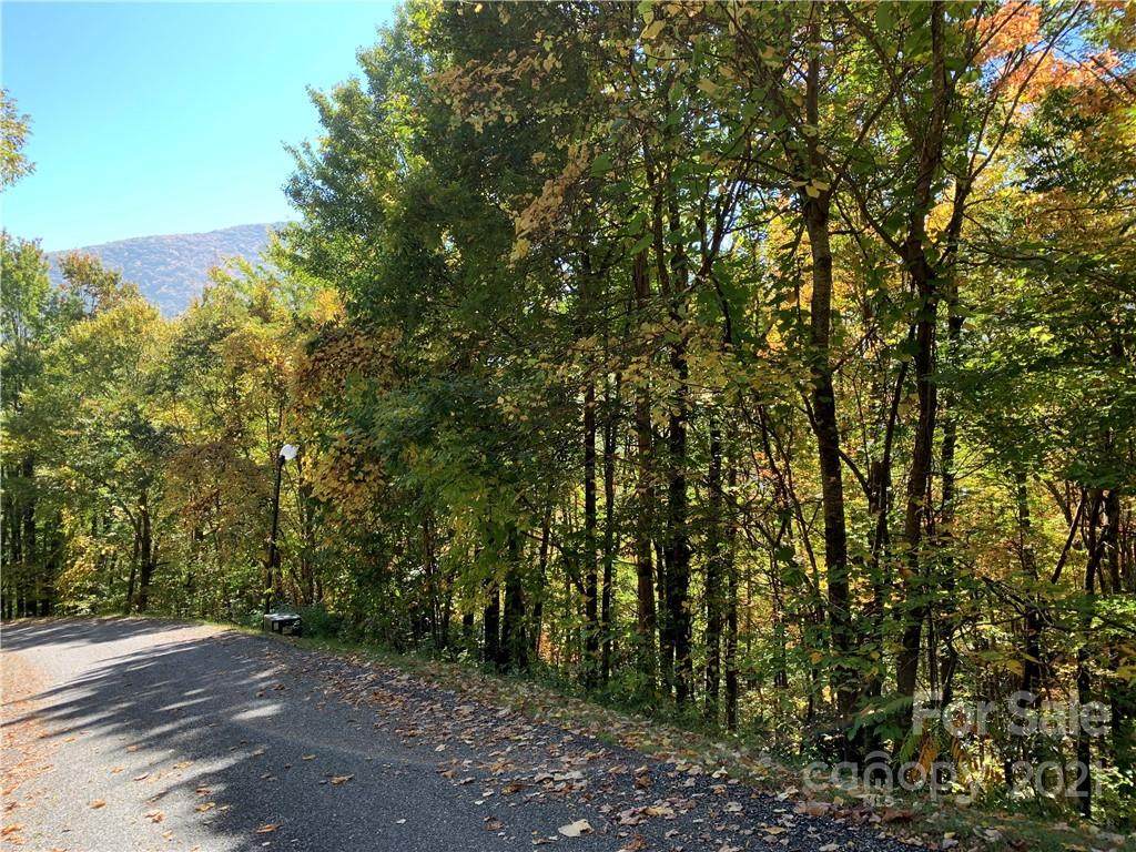 Lot 113 Davy Crockett Drive - Photo 1