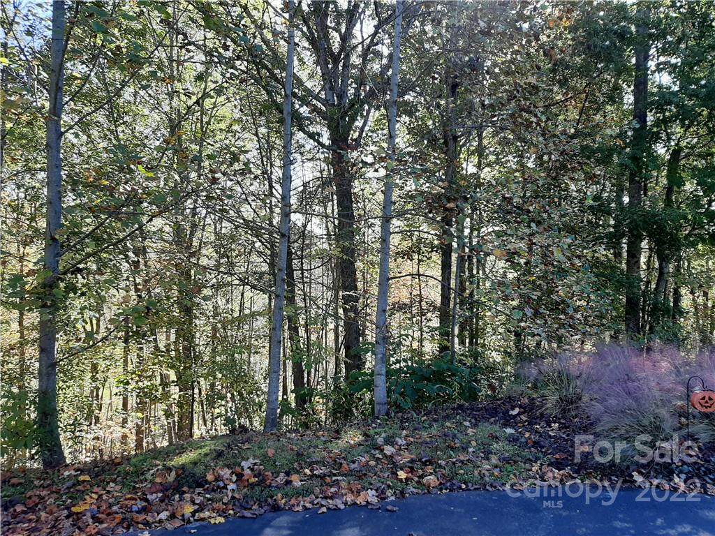 47 Crest View Drive - Photo 1