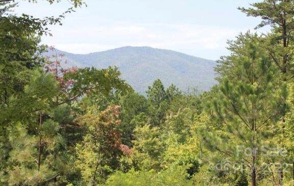0 Pisgah Preserve Drive - Photo 1