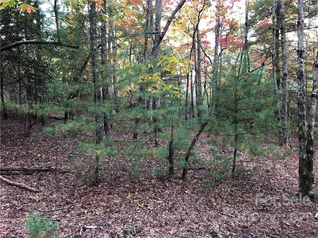 J111 Mulberry Circle - Photo 1