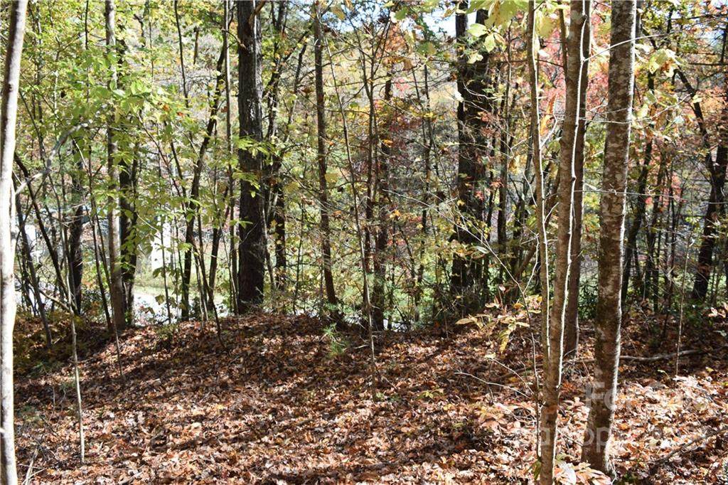 0 Tbd East Fork & White Horse Road - Photo 1