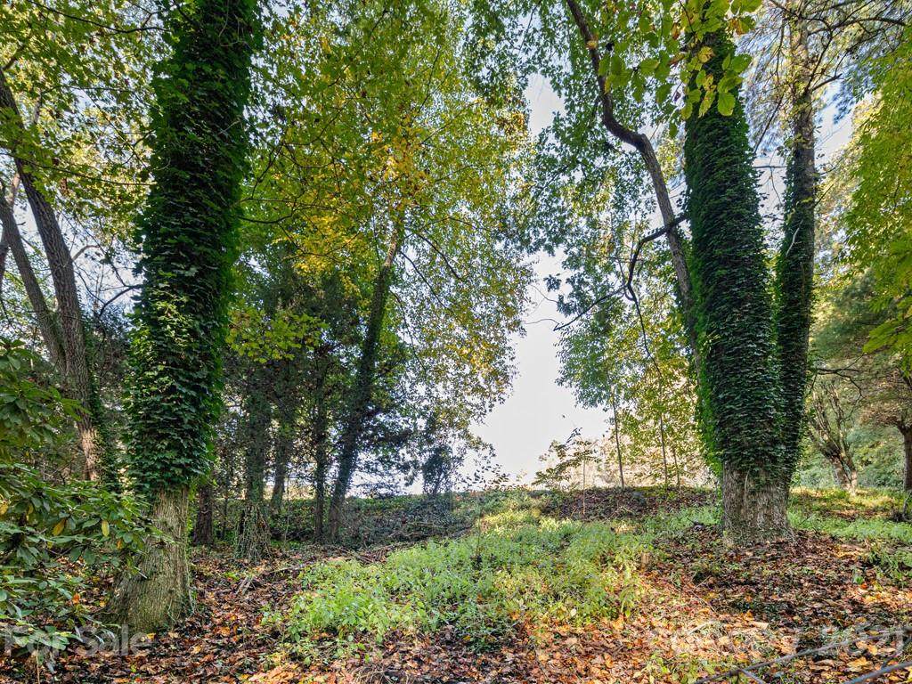 26 Forest Road - Photo 1