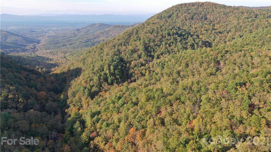 0000 Roper Hollow Road - Photo 1